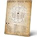 Homely Accents Bourbon Tasting Chart, Vintage Metal Tin Sign, Whiskey Lover's Wall Art Decor, for Home Bar, Club, Kitchen 8x12 Inches Wall Decor Poster