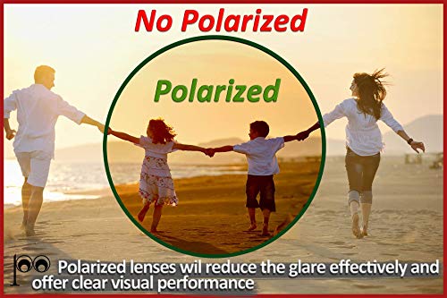 Image of Polarized Lenses Replacement for Oakley Whisker Oval Sunglasses OO4141 - MultiColors