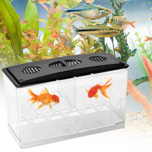 Amexo Sala Parto Acquario, 1,5 L Trasparente Acquario Acquario per Pesci Rossi Scatolaper Incubatrice per Gamberetti Guppy