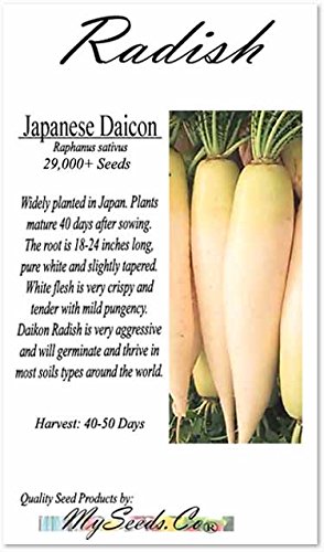 Amazon.com : 1 lb (29,000+ Seeds) Japanese Daikon - Daikon Radish