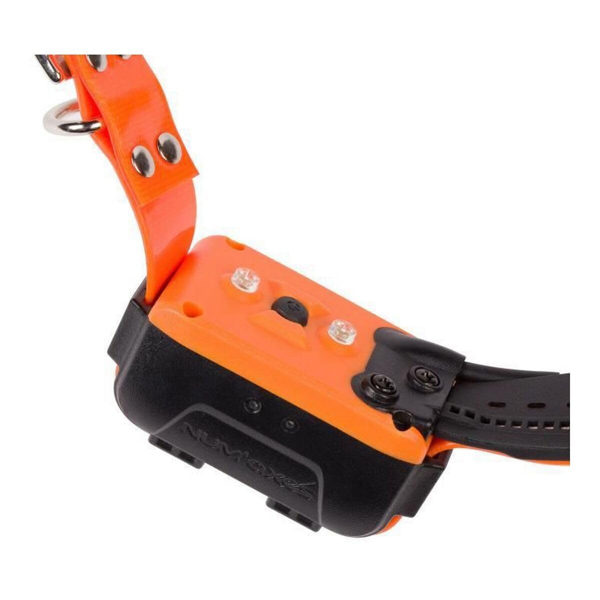 Num'Axes Localisation GPS Collier Seul CANICOM GPS
