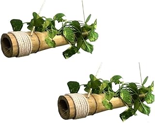 RARE OCEANS Hanging Bamboo Flower Pot (Pack of 2)-picture-23