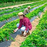 JNBGTU 2x3M Black Plastic Sheeting, Polythene Sheeting Heavy Duty, Thick Large Plastic Dust Waterproof Sheets, Garden Grow PE Cover Sheets for Gardening Insulation Building Rubble Protection - Image 6