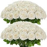 Carlita‘s Blooms 50pcs Ivory Roses Artificial Flowers Bulk Fake White Roses Silk Flower with Stems Realistic Flowers for Wedding Centerpiece Party Birthday Decor