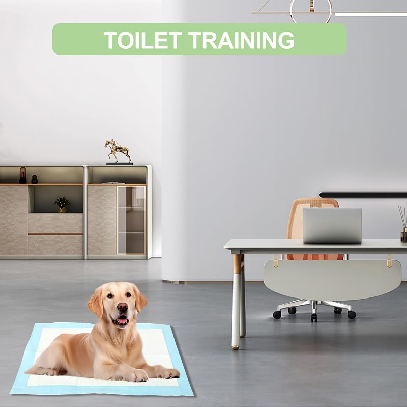 Pack of 100 PIPI Matten für Hunde & Training Pads – 45 × 33 cm Welpen Unterlagen, 6-Lagiges Design - Auslaufsicher & Schnell trocknend – Hundetoilette für Wohnung & Welpen