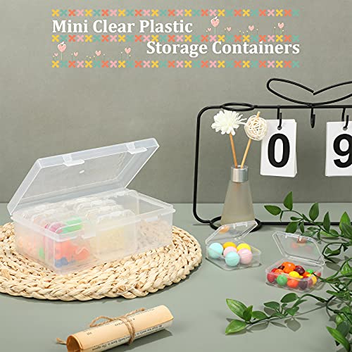 Image of Blulu 13 Pieces Small Bead Organizers Plastic Bead Storage Containers with Lids Mini Clear Storage Cases Transparent Craft Boxes for Jewelry Diamonds DIY Art Craft Accessory(2.1 x 2.1 x 0.8 Inch)