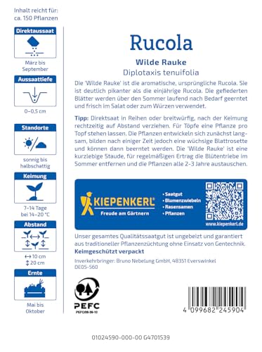 Kiepenkerl Rucolasamen Wilde Rauke 1024590 - Würz- und Salatkraut mit pikantem Geschmack und Inhalt für 150 Pflanzen - Saatgut, Kräutersamen, Kräuterpflanzen