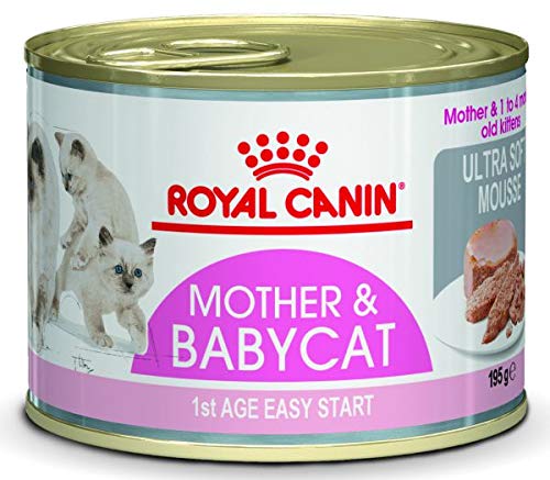 ROYAL CANIN Wet Mother & babycat Mousse pour cavalier 195 g