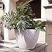 LA JOLIE MUSE Large Planter Pot Indoor Outdoor - 14.2 Inch Tree Planter Flower Pot, Planters Container with Drain Holes (Speckled White)