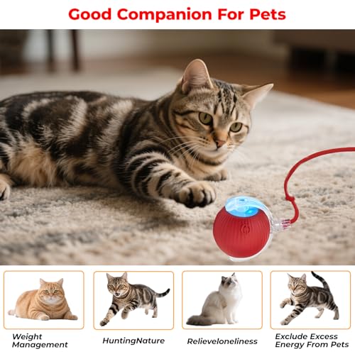 2-Pack Interactive Cat Toys Ball - 2025 New Gen with 360° Auto-Rotation Smart Obstacle Avoidance & Auto Wake-Up,Includes 2 Speedy Tail 2.0 Ropes, Ideal Kitten Toys for Bored Indoor Cats (Red & Green)