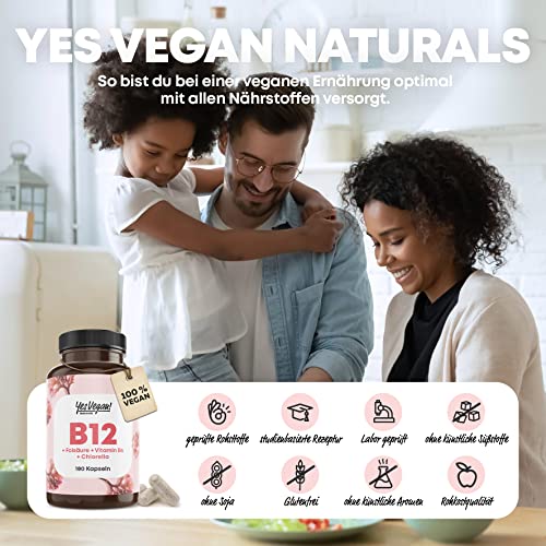 Vitamin B12 hochdosiert (180 Kapseln) aktiver 3-fach B12 Komplex mit Kofaktoren Folsäure, Vitamin B6 und Chlorella I B12 Vitamin Alternative zu Vitamin B12 Tropfen und Tabletten