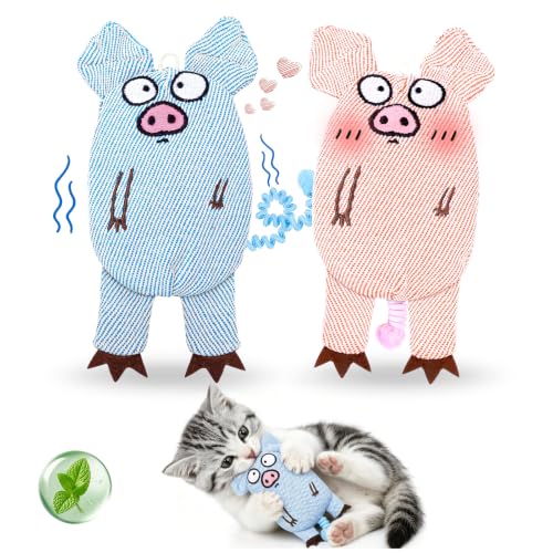Katzenminze-Spielzeug, 2er-Set Interaktives Katzenspielzeug mit 8000 mg Katzenminze & Silvervine, Schwein aus Plüsch mit Knisterpapier, Glocke und Elastischem Schwanz zur Zahnpflege