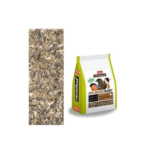 PIPA MACHO BABY EXTRA