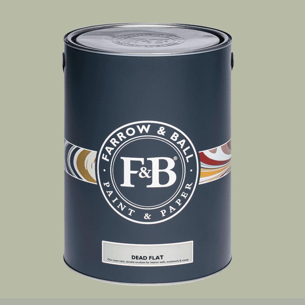 Paint Stop Mixed Colour Farrow & Ball Dead Flat 234 Vert De Terre 5L
