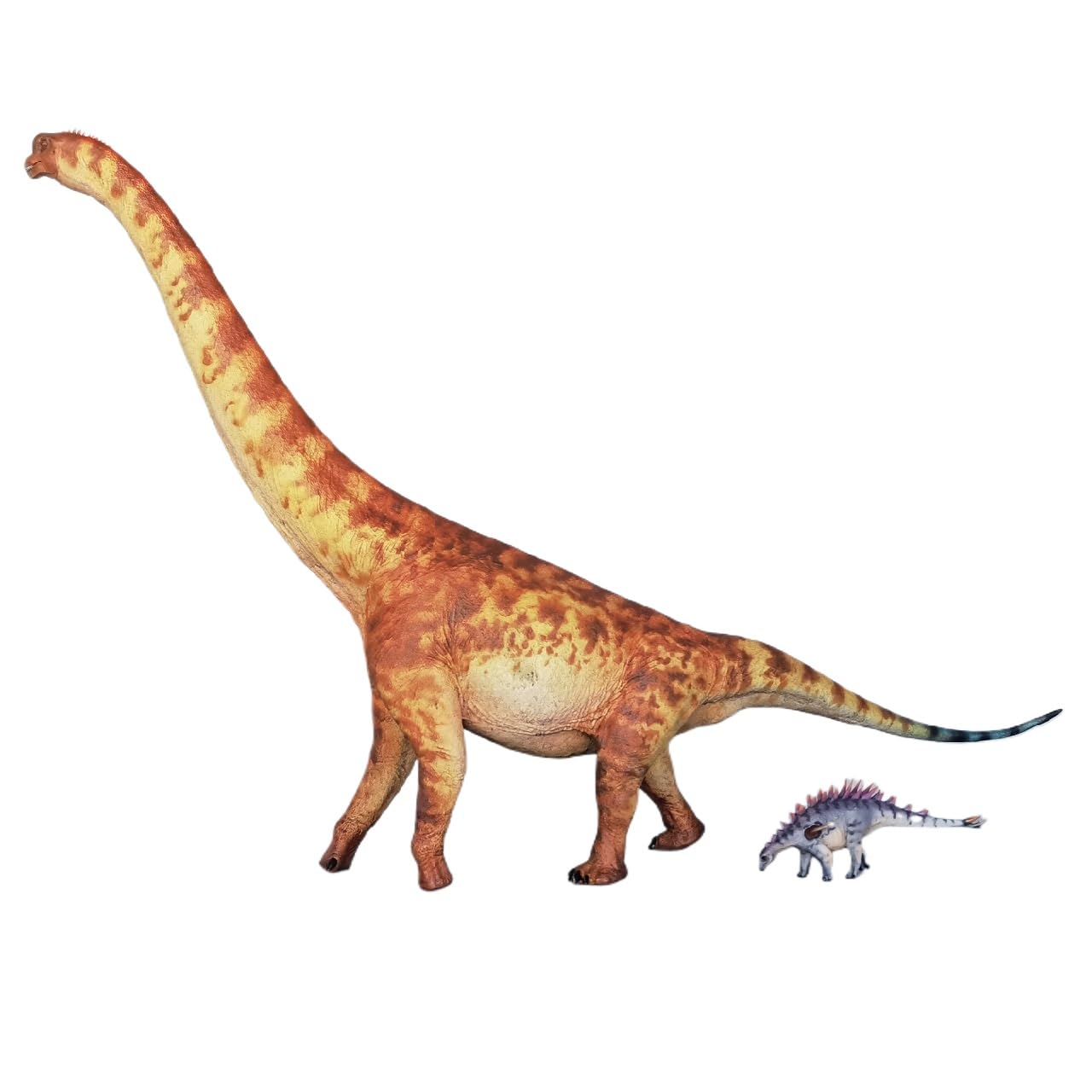 XINPANYIAN HAOLONGGOOD Brachiosaurus Prehistoric Animal Dinosaur Model with Huayangosaurus Figure (Color C)