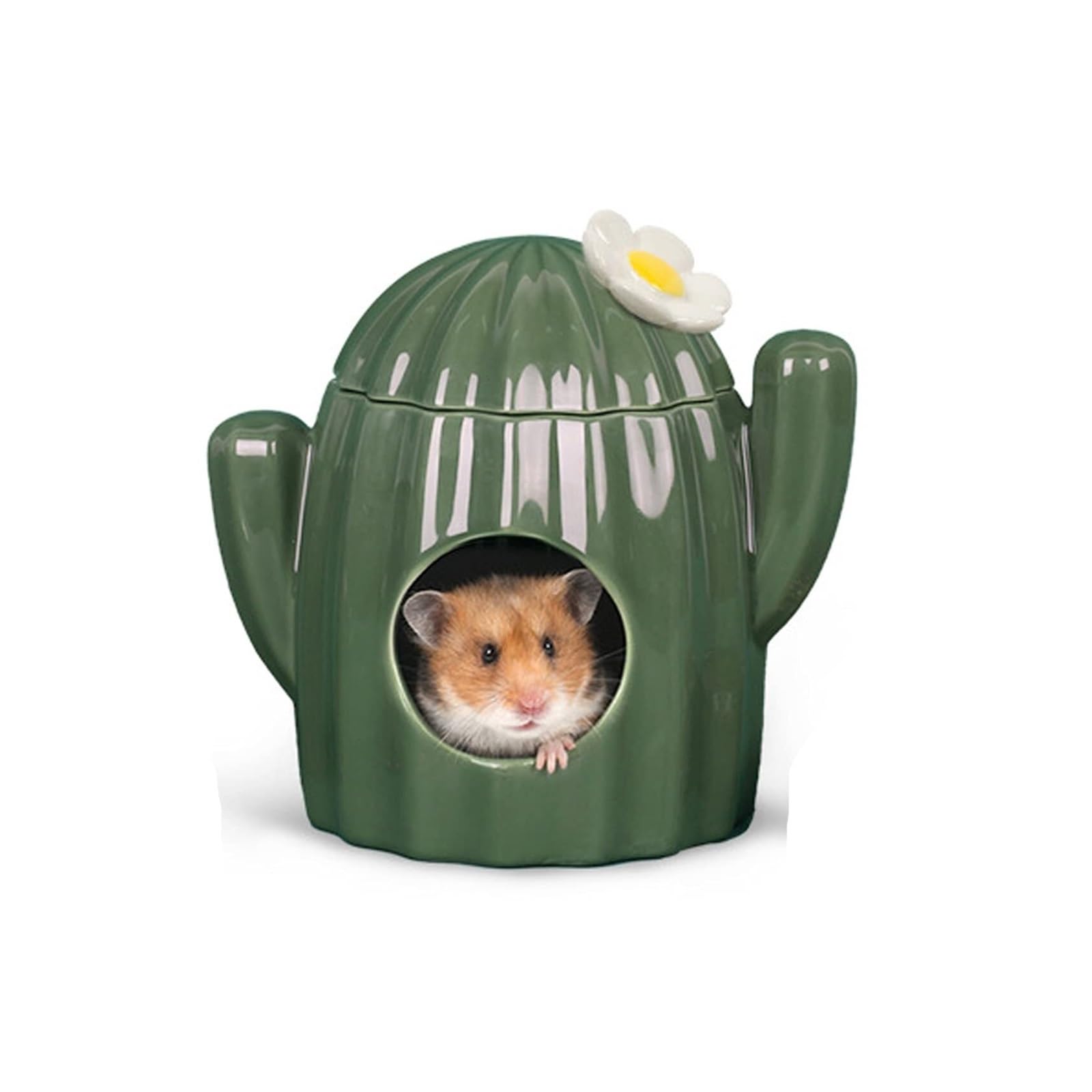Casa in ceramica a forma di cactus, ciotola per cibo, bottiglia d'acqua, supporto per criceti siriani, gerbilli, piccoli animali domestici, habitat per piccoli animali, accessori per criceti (3 pezzi)
