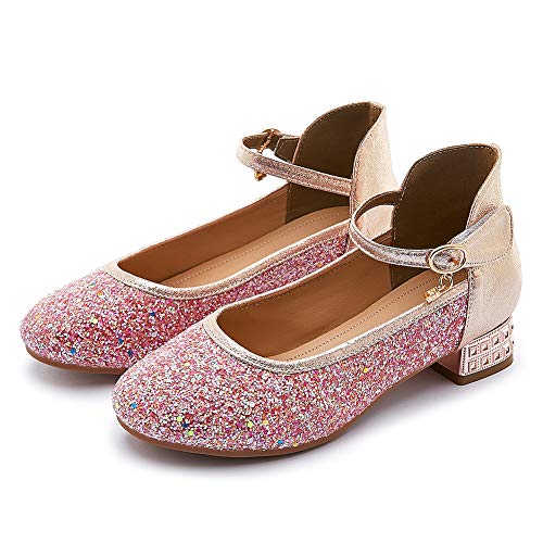 SWDZM Girl's Princess Cosplay Performance Shoes Sequins Wedding Party Dress Shoes Mary Jane Shoes Model-KM2323