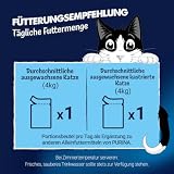FELIX Soup Time Original Ergänzungsnassfutter für Katzen 6 Portionsbeutel Rind Huhn Lamm