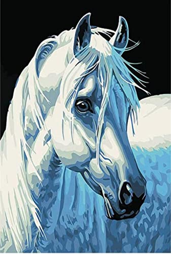 Peinture au diamant 5D cheval avec kit complet de strass et broderie