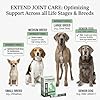 Extend Joint Support for Dogs Hip and Joint Supplement for Dogs Glucosamine Hip & Joint Support Arthritis Supplement, Support Healthy Joints, Mobility & Flexibility for All Dog Breeds - Made in USA #5