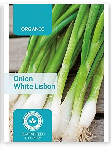 VibeX Scallion Onion-500 Seeds