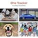 GPS Tracker for Vehicles No Monthly Fee, No Subscription, Up to 42 Days Battery Life, 4G SIM and Data Included, Magnetic Car Tracker Device Hidden, Trip History, Alerts, USA Developed, Moto Watchdog