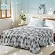 WONGS BEDDING Kühldecke Sommerdecke - mit Japanische Arc-Chill Q-Max 0,43 Kühlfasern, 2 in 1 Selbstkühlende kühlende Decke für Menschen zum Reisen Sofa Büro Betten Hause, Grau 200x220 cm