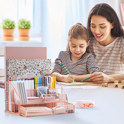 ARCOBIS Rose Gold Desk Organizer and Accessories, Upgraded Large Office Supplies Desk Organization for Women, Cute Desk Caddy with Pen Holder, 6 Compartments+1 Large Drawer+72 Clips Set