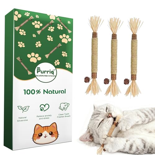 Purriq Natural Silvervine Dental Sticks Natural Silvervine Sticks for Cats Cleaning Dental Scratch and Bite Resistant Calm Cat Boring for Indoor Kitty Interactive Kitten Chew Playthings (3Pcs)