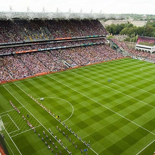 『McGeeney Interview after Fermanagh Game』のカバーアート