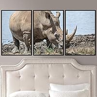 3 Piece Framed Canvas Wall Art Wild Animals Dramatic Hallway Canvas Prints Home Artwork Decoration for Living Room,Bedroom - 16