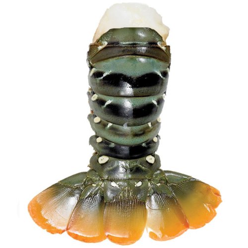 Lobster Gram NA8T2 TWO 8-10 OZ NORTH AUSTRALIAN LOBSTER TAILS