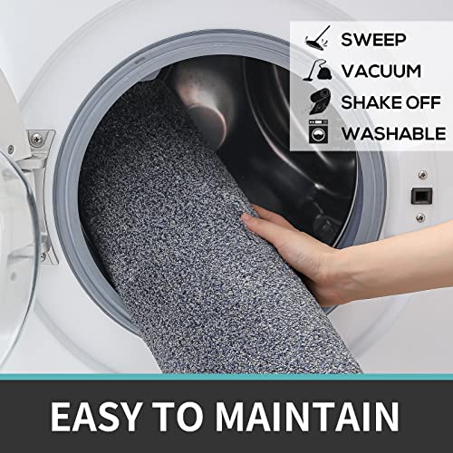 DEXI Zerbino Ingresso Casa 50 x 80 cm,Tappeto da