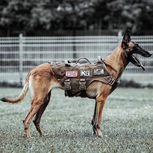 Comparison of Best Tactical Gear For Dogs [Experts 2023