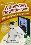 Animal Planet Presents A Dog's Day Dog Sitter DVD