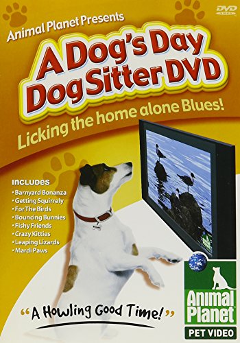 Animal Planet Presents A Dog's Day Dog Sitter DVD