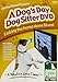 Animal Planet Presents A Dog's Day Dog Sitter DVD