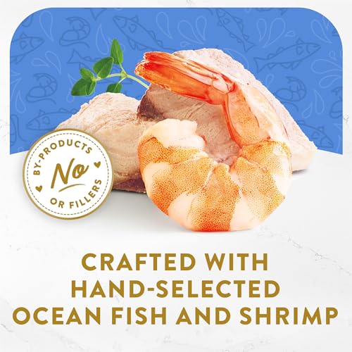 Fancy Feast Purina Lickable Appetizers Grain Free Wet Cat Food Topper Ocean Fish Appetizer with a Shrimp Cat Food Topper - 1.1 oz. Trays,(Pack of 20) - image 3
