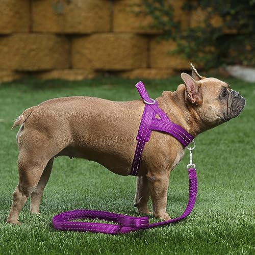 Image of Plutus Pet No Pull Dog Harness for Large Dogs, Breathable Mesh Padded