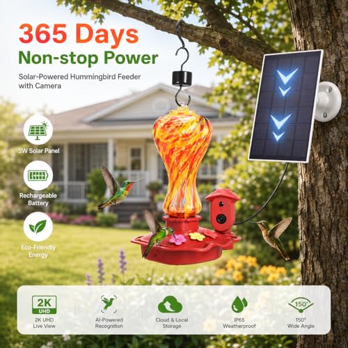 Smart Bird Feeder Camera Solar Powered