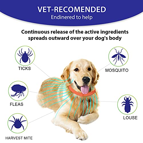2 Pack Natural Flea Collar for Dogs with 8-Month Prevention, Waterproof Dog Flea and Tick Collar, Adjustable Flea and… - Image 3