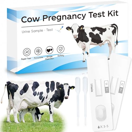 2-Pack Cow Pregnancy Test Kit: Fast & Painless Urine Test