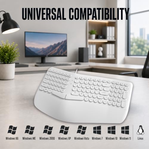 Image of ANT Master 70 Wired USB Keyboard, Full-Size 101-Key Computer Keyboard with FN + 12 Multimedia Shortcut Keys, Smooth Rubber Dome Keys, Anti-Splash Design, 5 Million Keystrokes, Windows & Linux - White