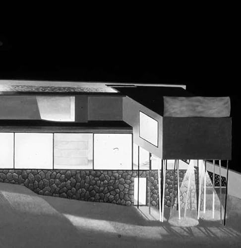 105. The House of Dr. Koolhaas