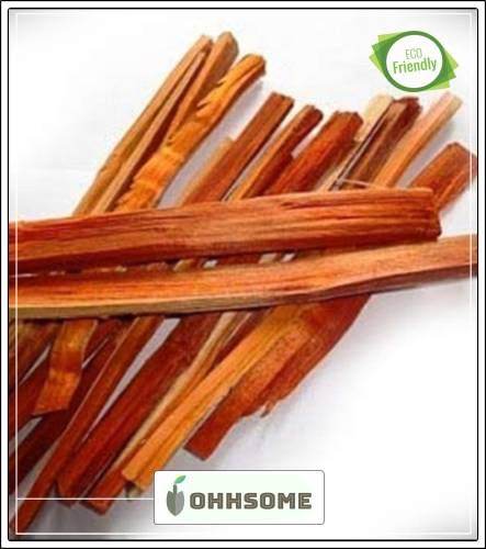 Pinkdose Tree Seeds: Caesalpinia Sappan Brazil Wood Or Pattaranjka Tree Seeds Tree Seeds Pack Seed