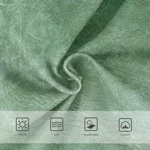 Sport Panties All Seasons Panties Organic Underpants for Toddlers in Sizes 2T,3T, 4T, 5T, 6Y and 8Y3