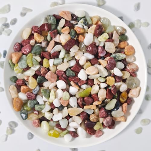 3Lb Pebbles for Indoor Plants,River Rocks for Succulent Plants,Aquarium Gravel,Decorative Stones Bonsai Garden Pebbles,Aquarium Rocks for Landscaping,Plants,Vase Fillers (Multicolor)