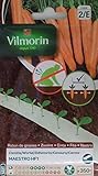  Vilmorin 2 Cintas 350 Semillas de Zanahoria Maestro HF1 (Cultivo fácil)