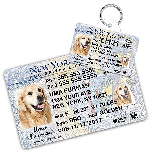 New York Driver License Custom Dog Tag for Pets and Wallet Card - Personalized Pet ID Tags - Dog Tags for Dogs - Dog ID Tag - Personalized Dog ID Tags - Cat ID Tags - Pet ID Tags for Cats