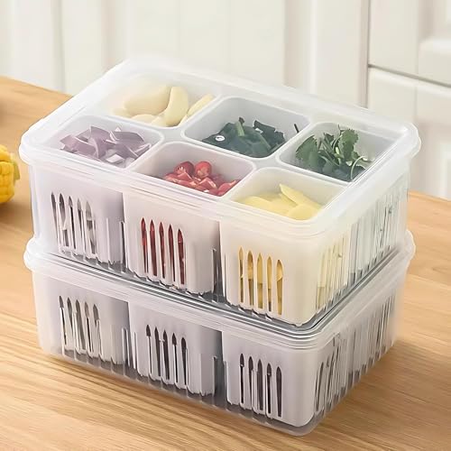 HomeWiz Kitchen Pack of 2 Fridge Storage Containers, Kitchen Storage Box, 6-Grid Fridge Organizer with Removable Drain Plate & Secure-Sealing Lids, Storage Boxes for Fruits, Vegetables